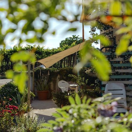 B&B La Ciammaruca Pollutri Ngoại thất bức ảnh