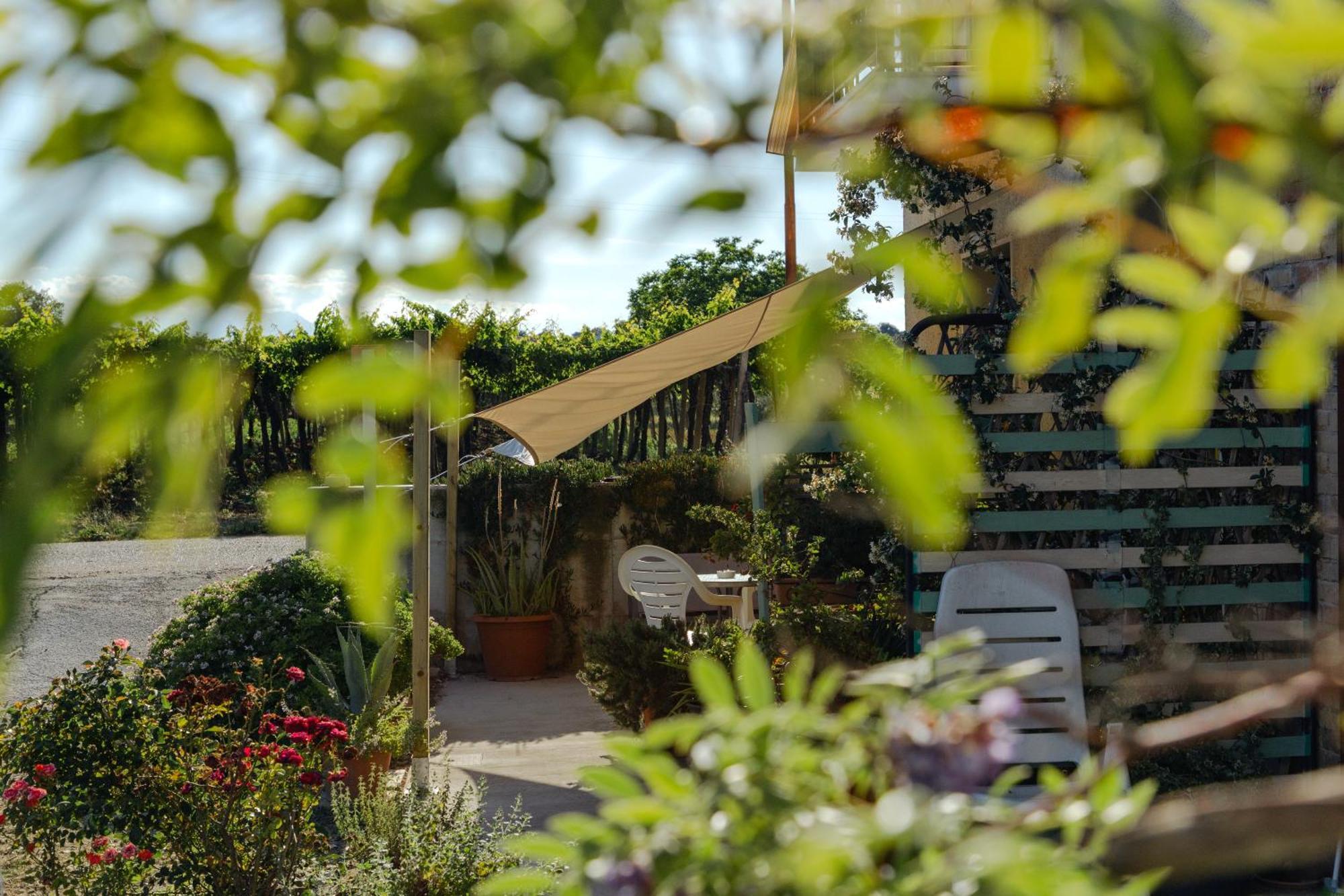 B&B La Ciammaruca Pollutri Ngoại thất bức ảnh
