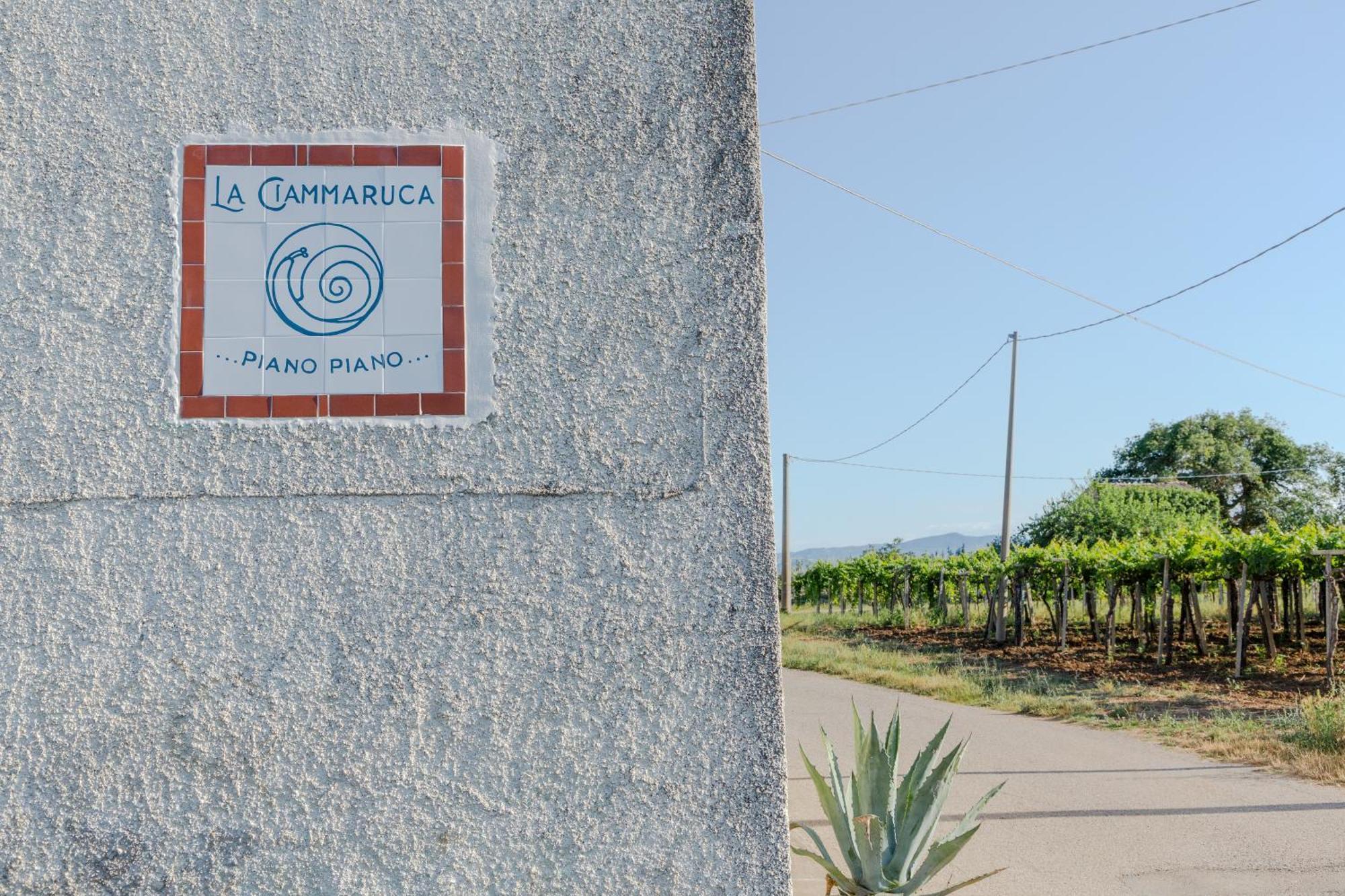 B&B La Ciammaruca Pollutri Ngoại thất bức ảnh
